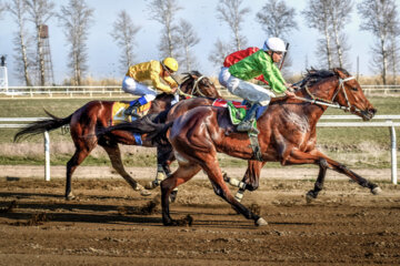 بزرگترین مجموعه اسبدوانی ایران در گنبد کاووس