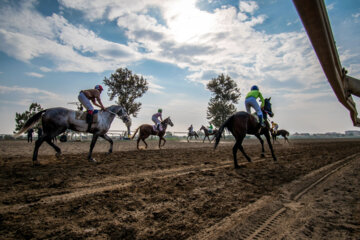 بزرگترین مجموعه اسبدوانی ایران در گنبد کاووس