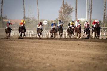 بزرگترین مجموعه اسبدوانی ایران در گنبد کاووس