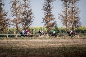 بزرگترین مجموعه اسبدوانی ایران در گنبد کاووس