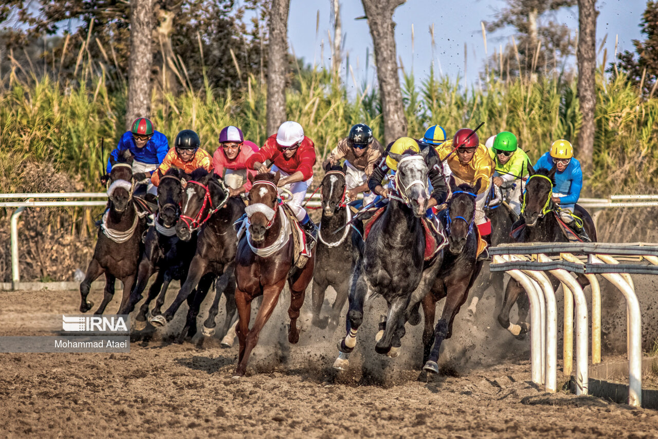 رقابت ۷۱ اسب در آغاز هفته هفتم کورس گنبدکاووس
