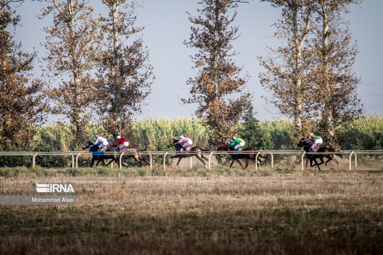 بزرگترین مجموعه اسبدوانی ایران در گنبد کاووس