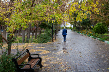 Tabriz, adornado con las bellezas escénicas del otoño