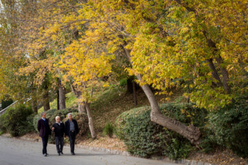 Tabriz, adornado con las bellezas escénicas del otoño