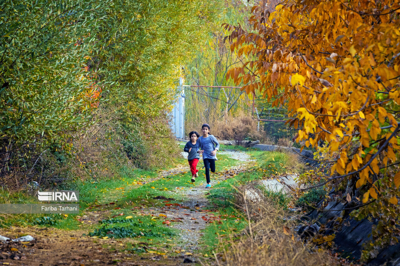 پاییز در شهرستان سلسله