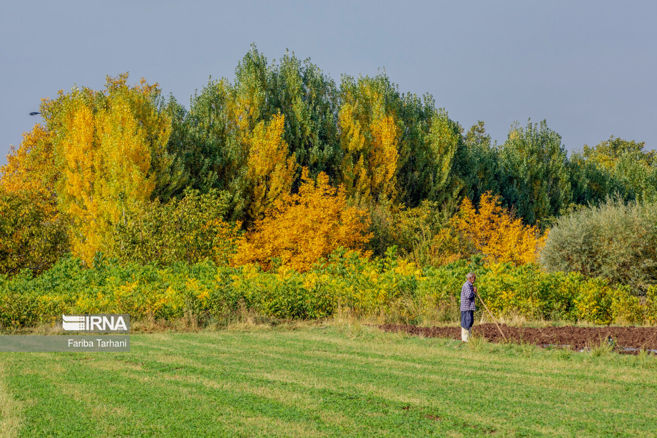 پاییز در شهرستان سلسله