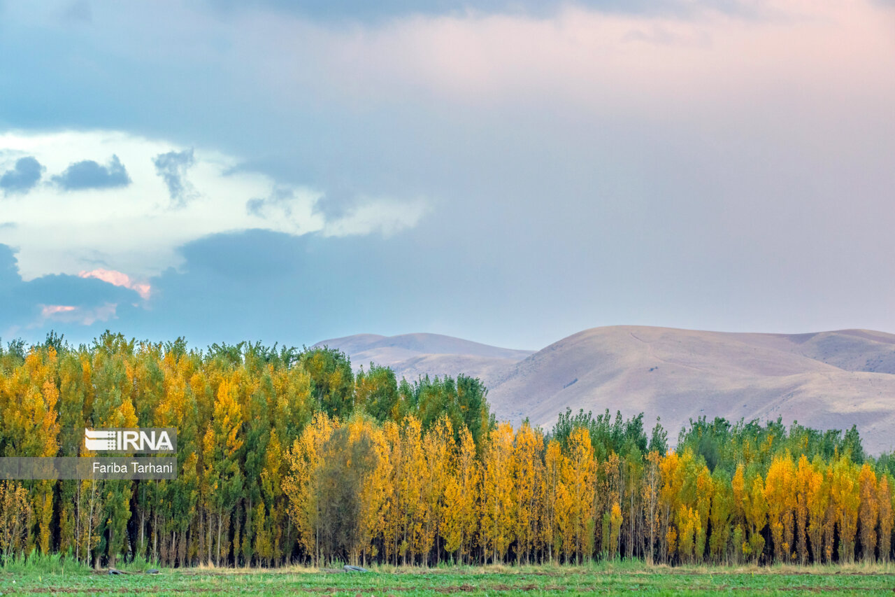 پاییز در شهرستان سلسله