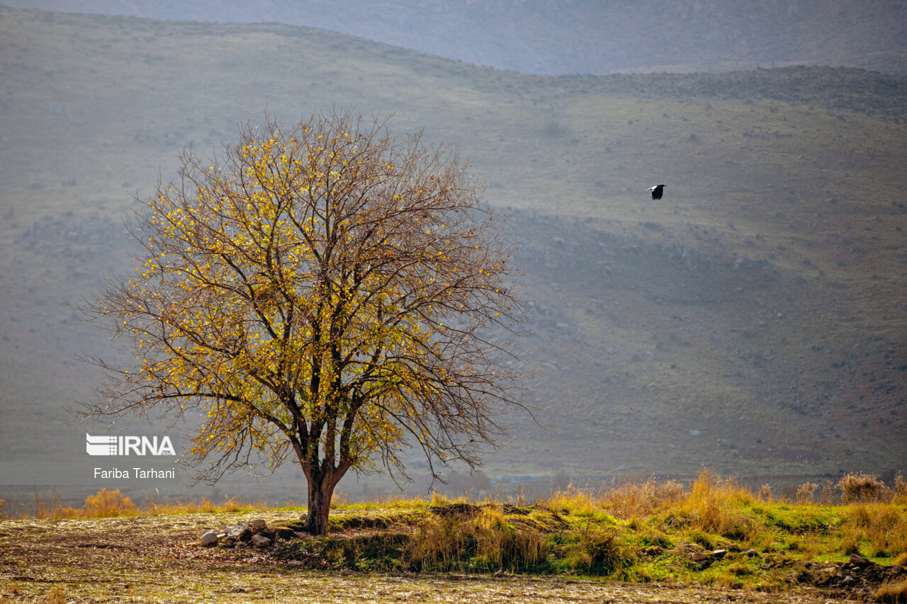 پاییز در شهرستان سلسله