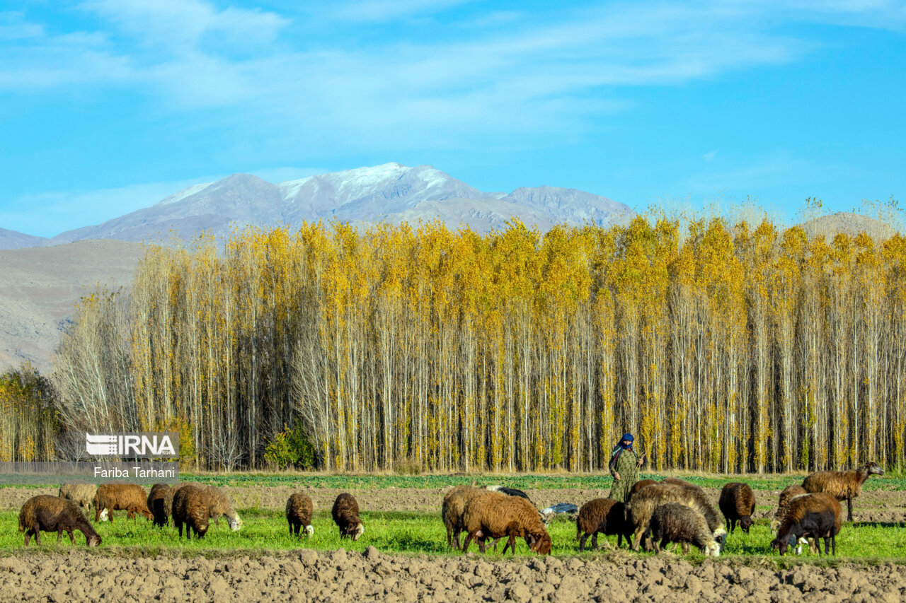 پاییز در شهرستان سلسله