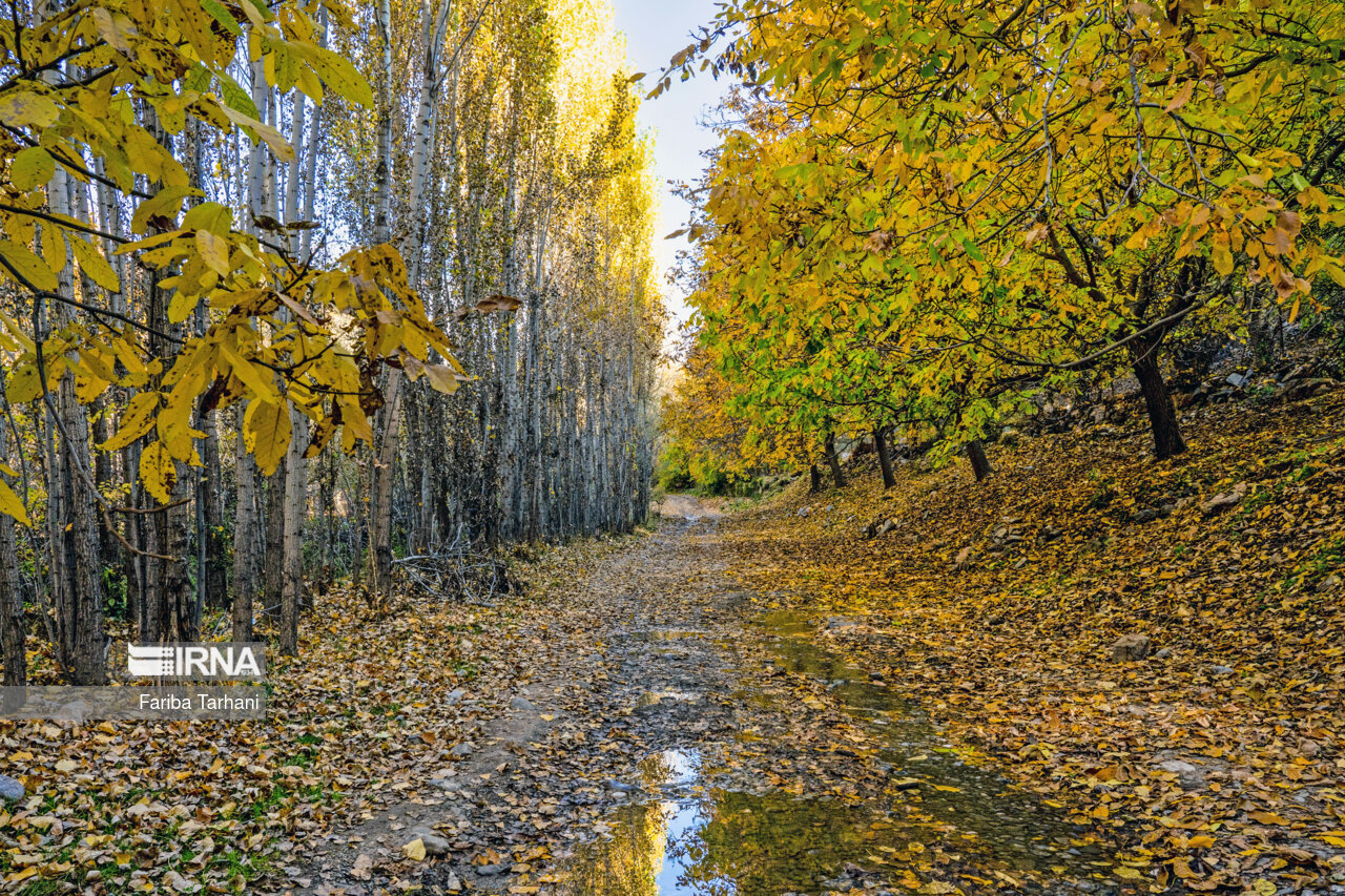 پاییز در شهرستان سلسله