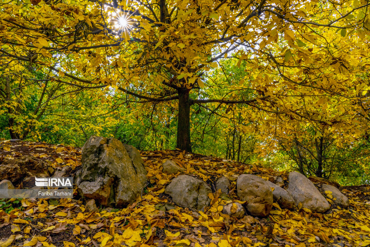 پاییز در شهرستان سلسله