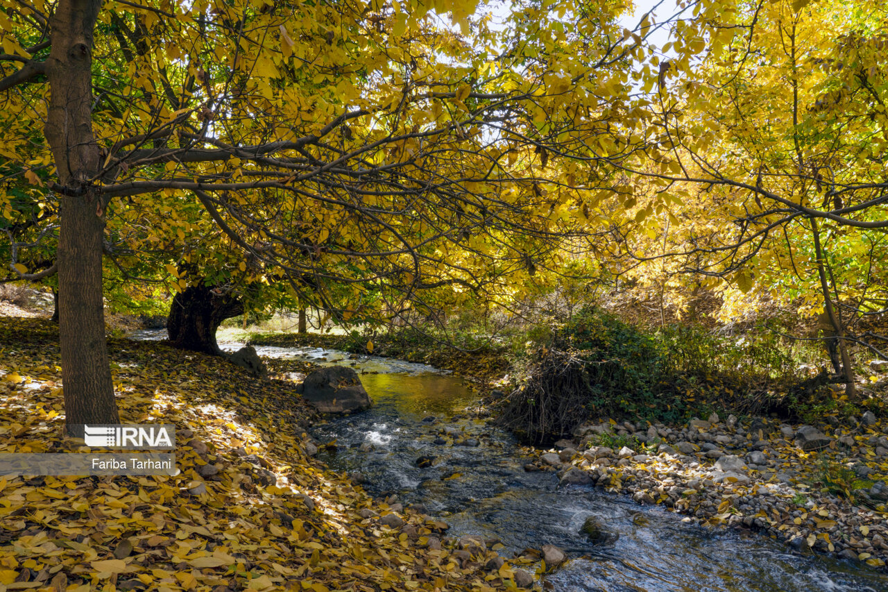 پاییز در شهرستان سلسله