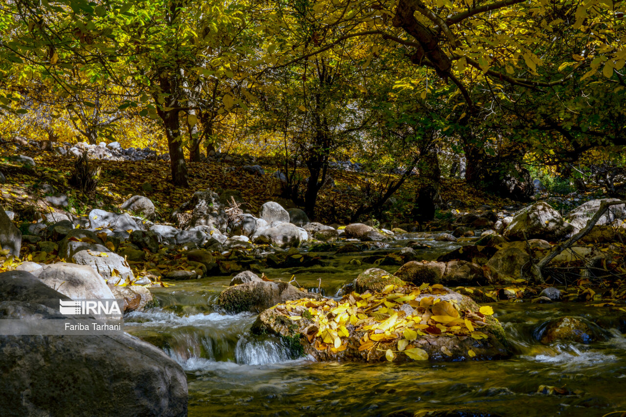پاییز در شهرستان سلسله