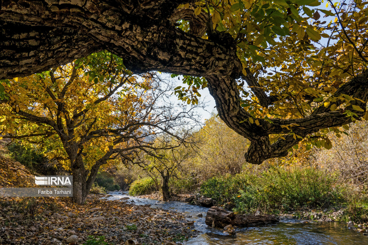 پاییز در شهرستان سلسله