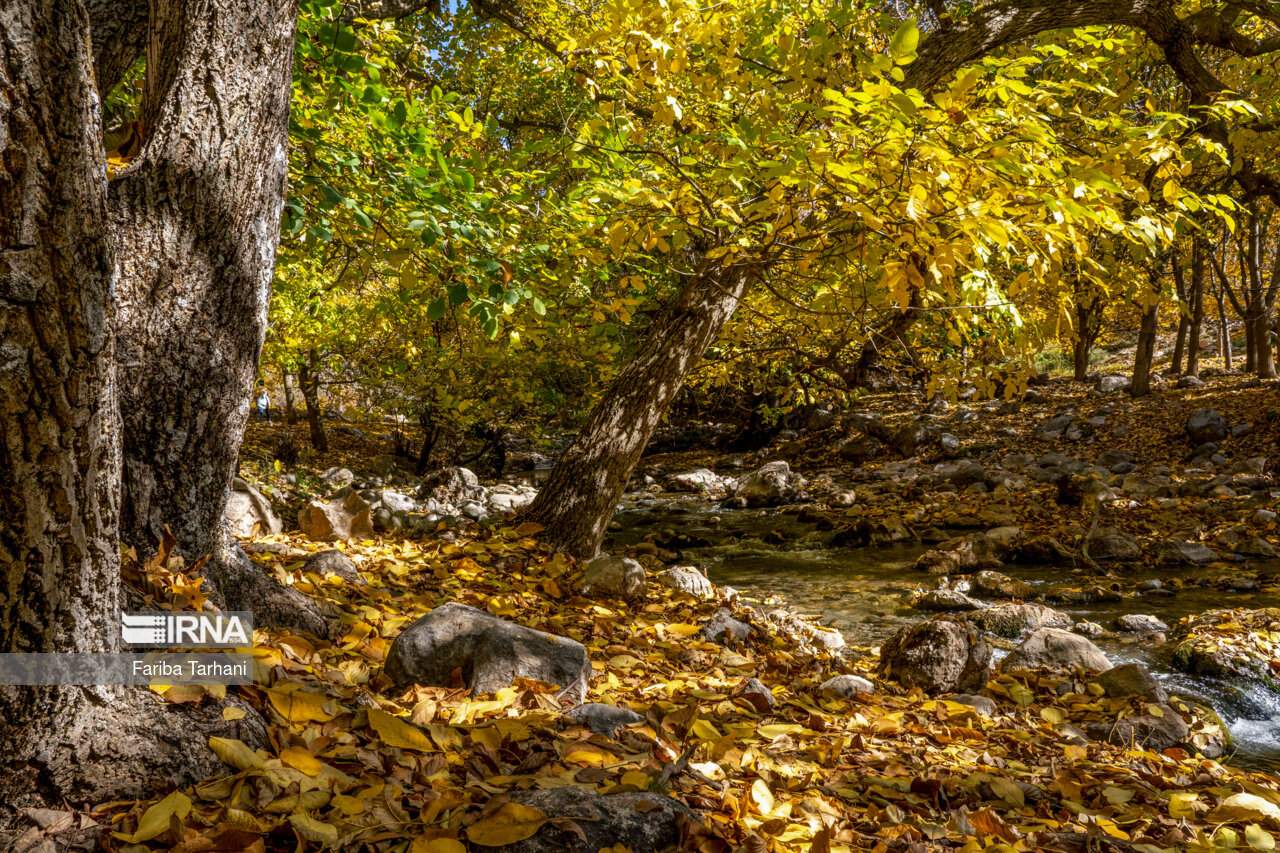 پاییز در شهرستان سلسله
