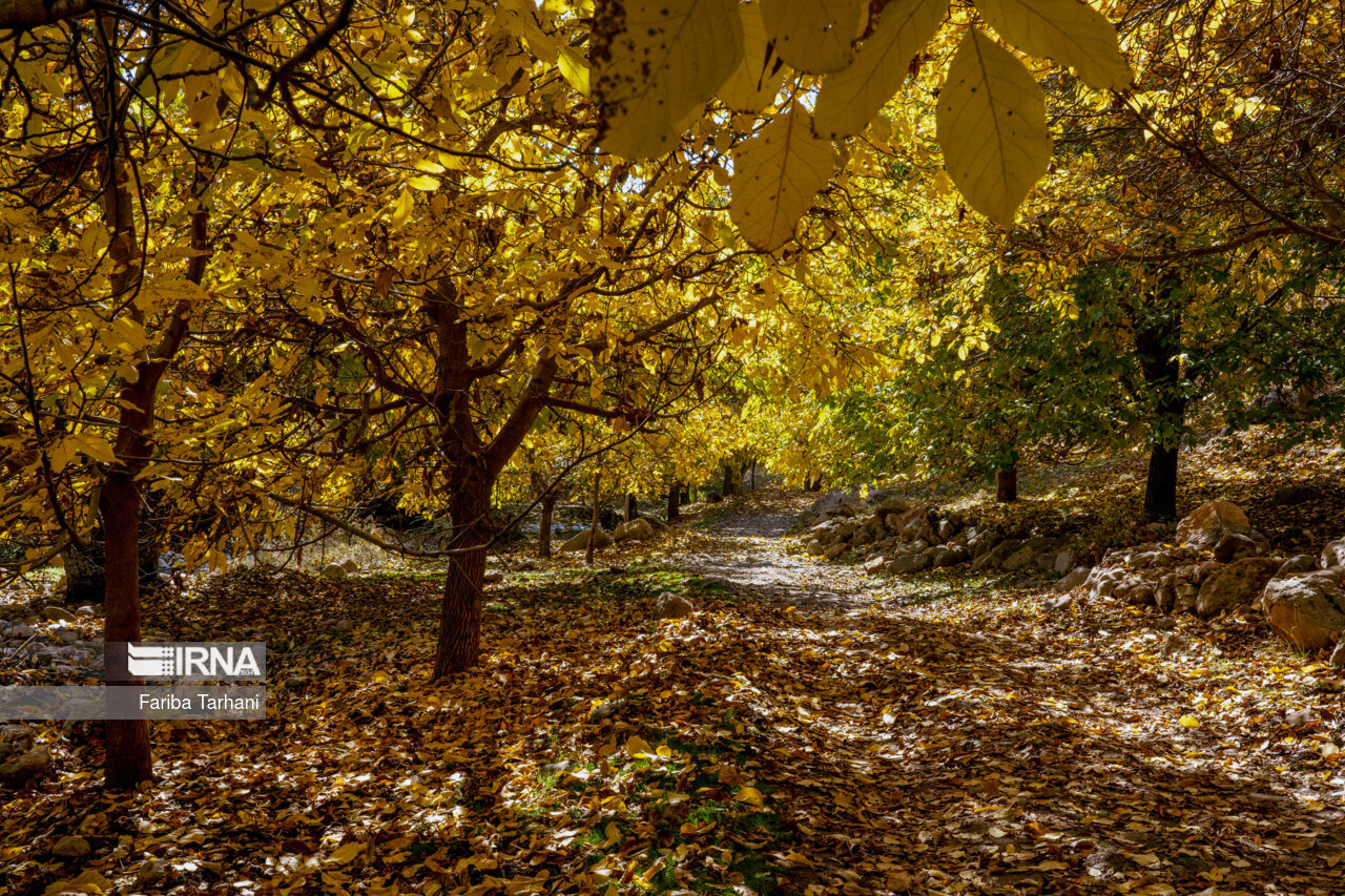 پاییز در شهرستان سلسله