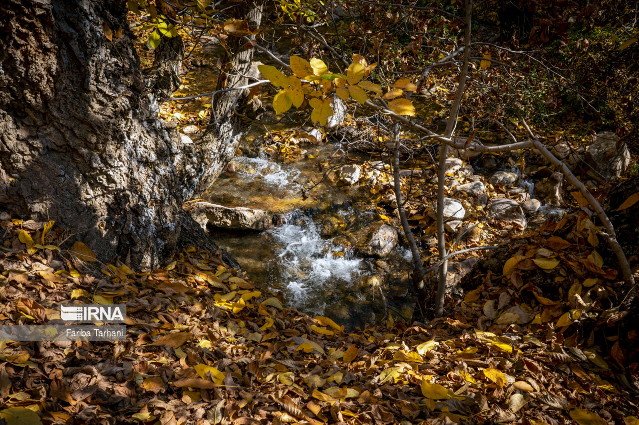 پاییز در شهرستان سلسله