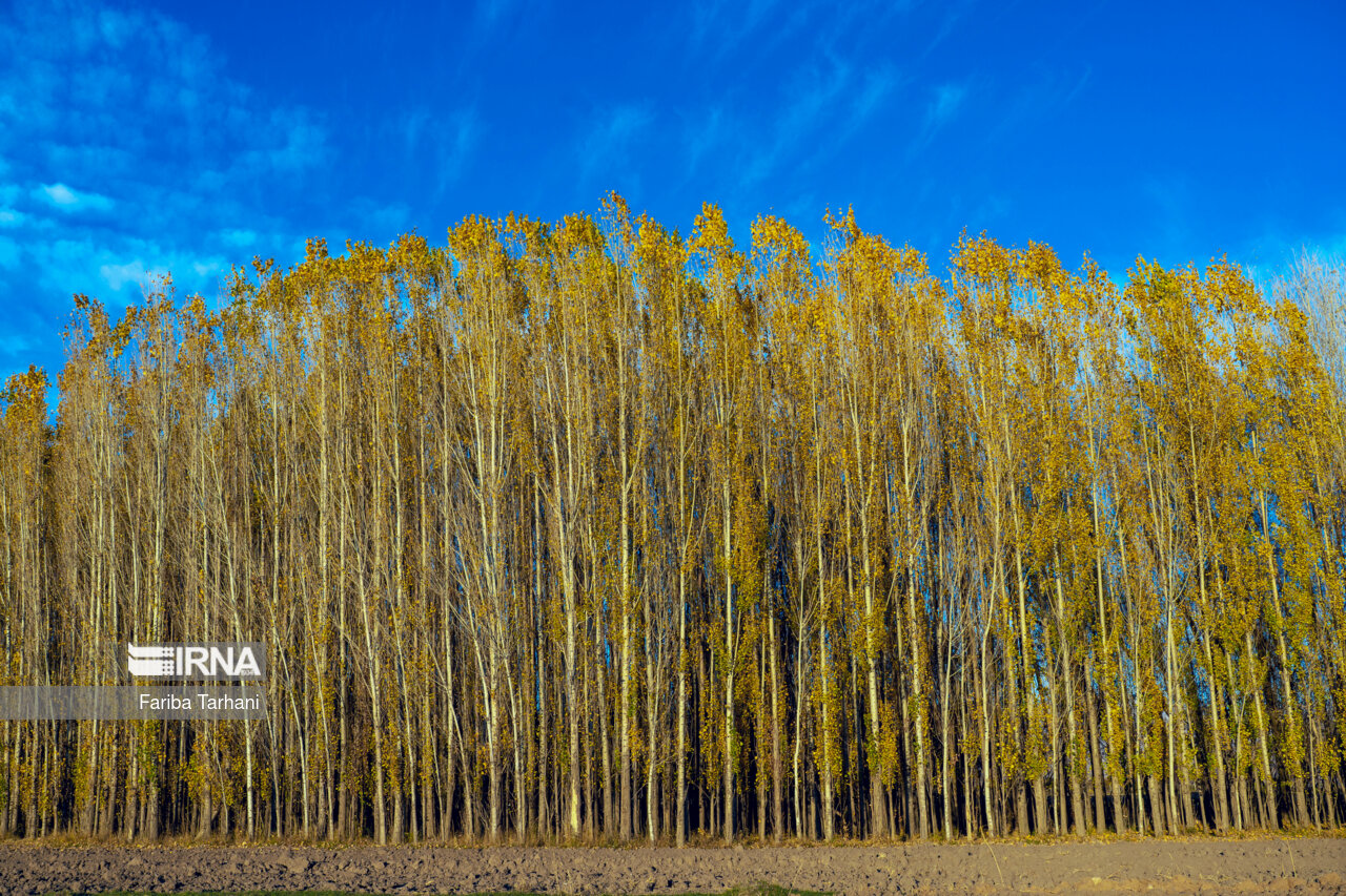 پاییز در شهرستان سلسله