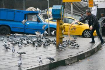 بارندگی پاییزی در تهران