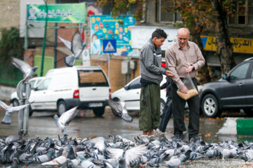 بارندگی پاییزی در تهران