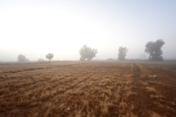 مه در گذر از سیستان