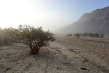 مه در گذر از سیستان