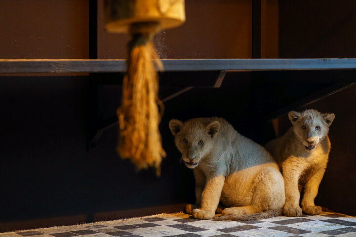 تولید 70 درصد مواداولیه دارویی / اعتبارات خیرین مدرسهساز به 11 هزار میلیارد تومان 5