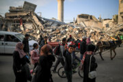 Глубокая озабоченность Каира опасным планом Израиля против народа Газы