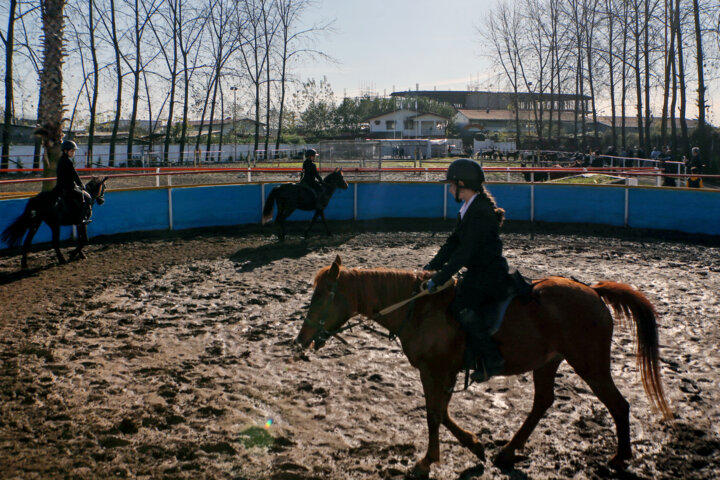 تبار نامهای برای کهنترین اسب