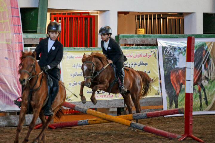 تبار نامهای برای کهنترین اسب