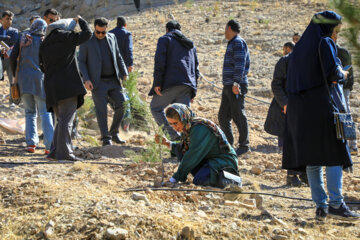 طرح درختکاری در کرمان