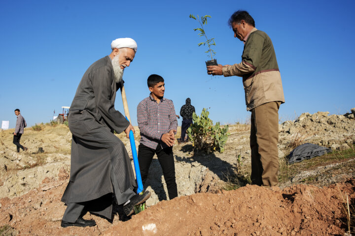 کاشت ۲ میلیون اصله نهال در گچساران