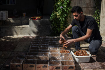 خرمای خاوران