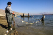 Dam fishing in northwestern Iran