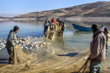 ماهگیری در دریاچه سد مهاباد