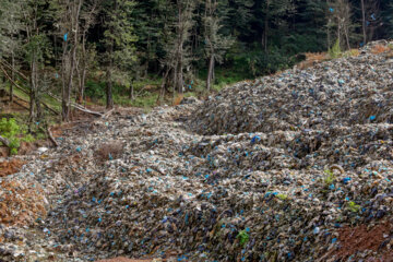 بحران زباله در جنگل های سراوان