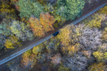 Espectáculo de color cuando el otoño llega a Mazandarán