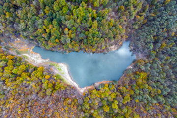 Espectáculo de color cuando el otoño llega a Mazandarán