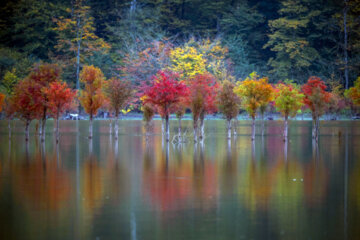 Espectáculo de color cuando el otoño llega a Mazandarán