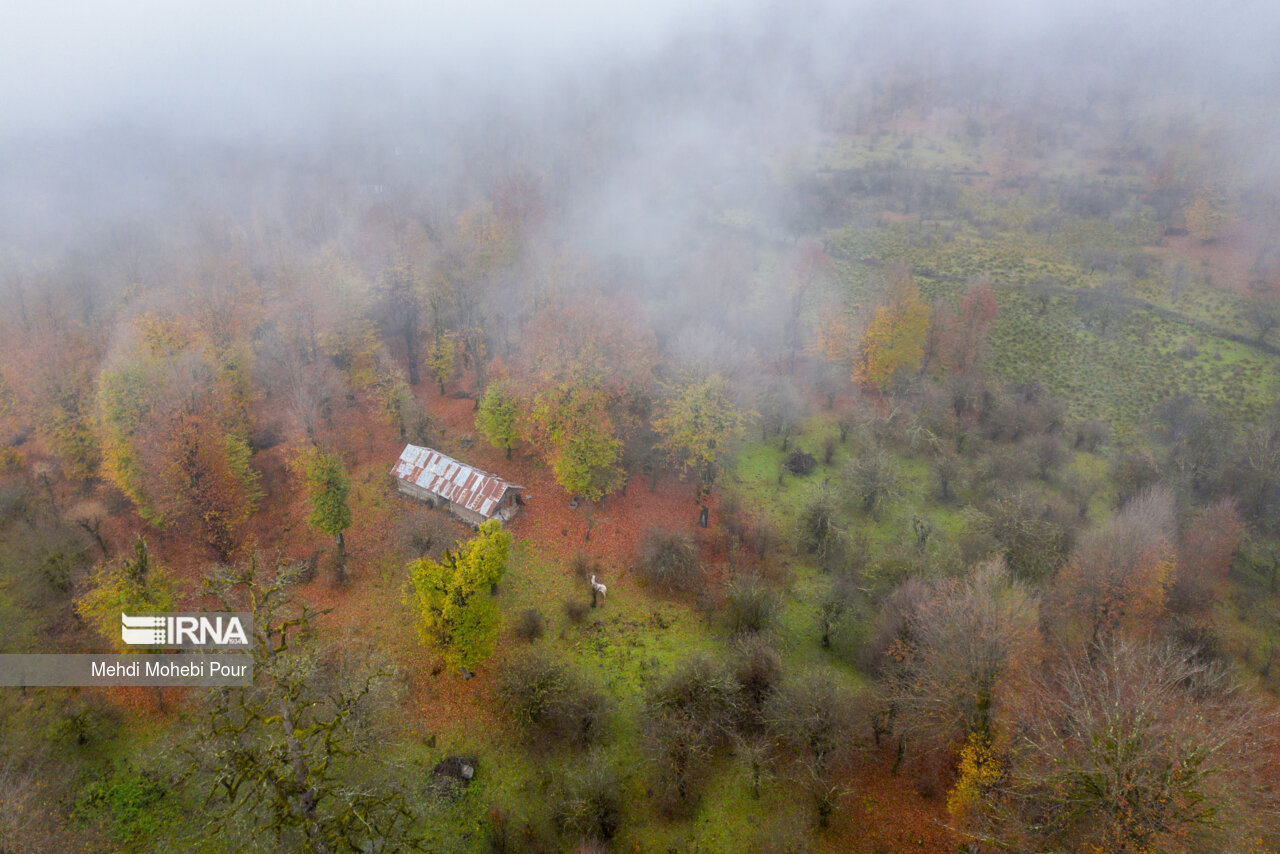 فصل هزار رنگ پاییز