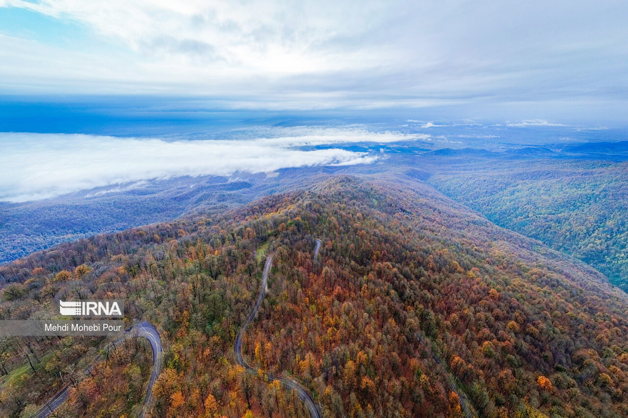 فصل هزار رنگ پاییز