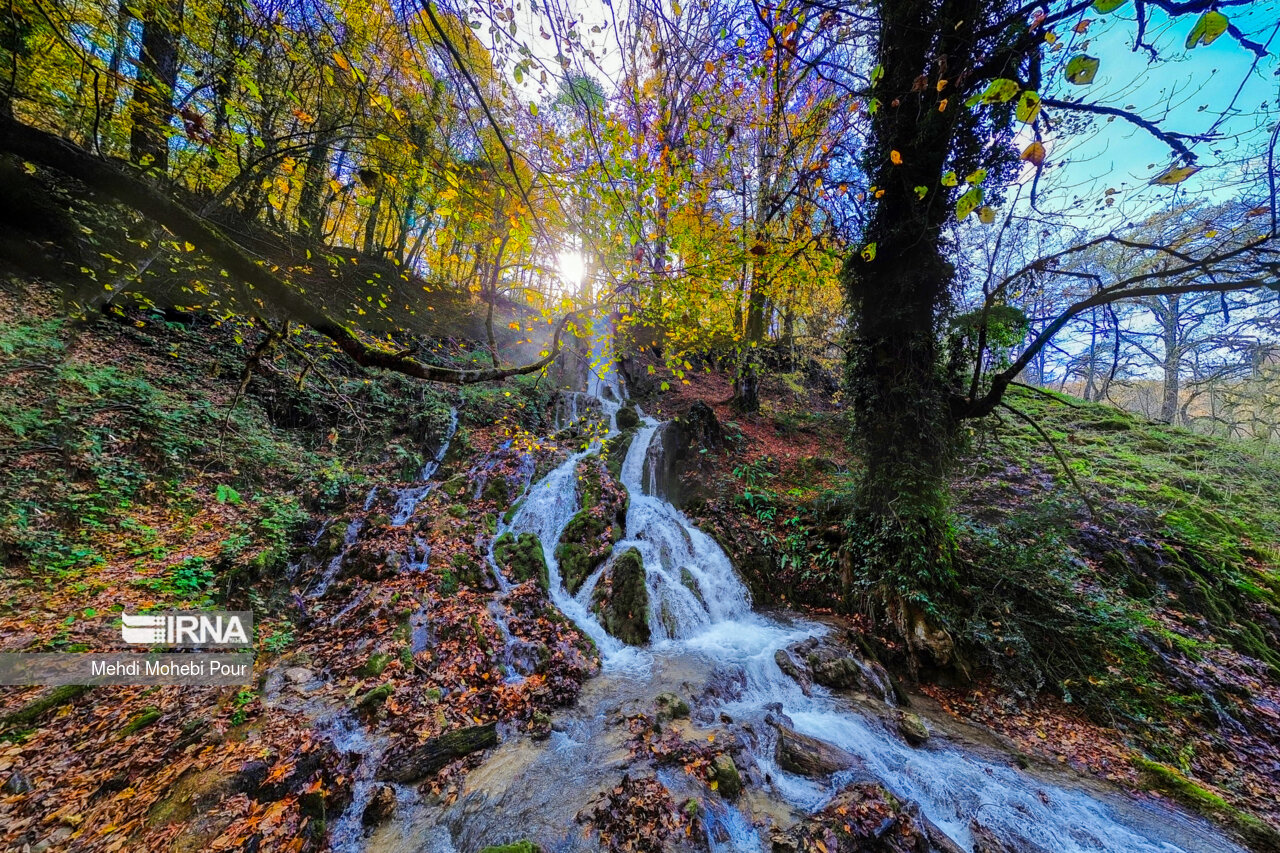 فصل هزار رنگ پاییز