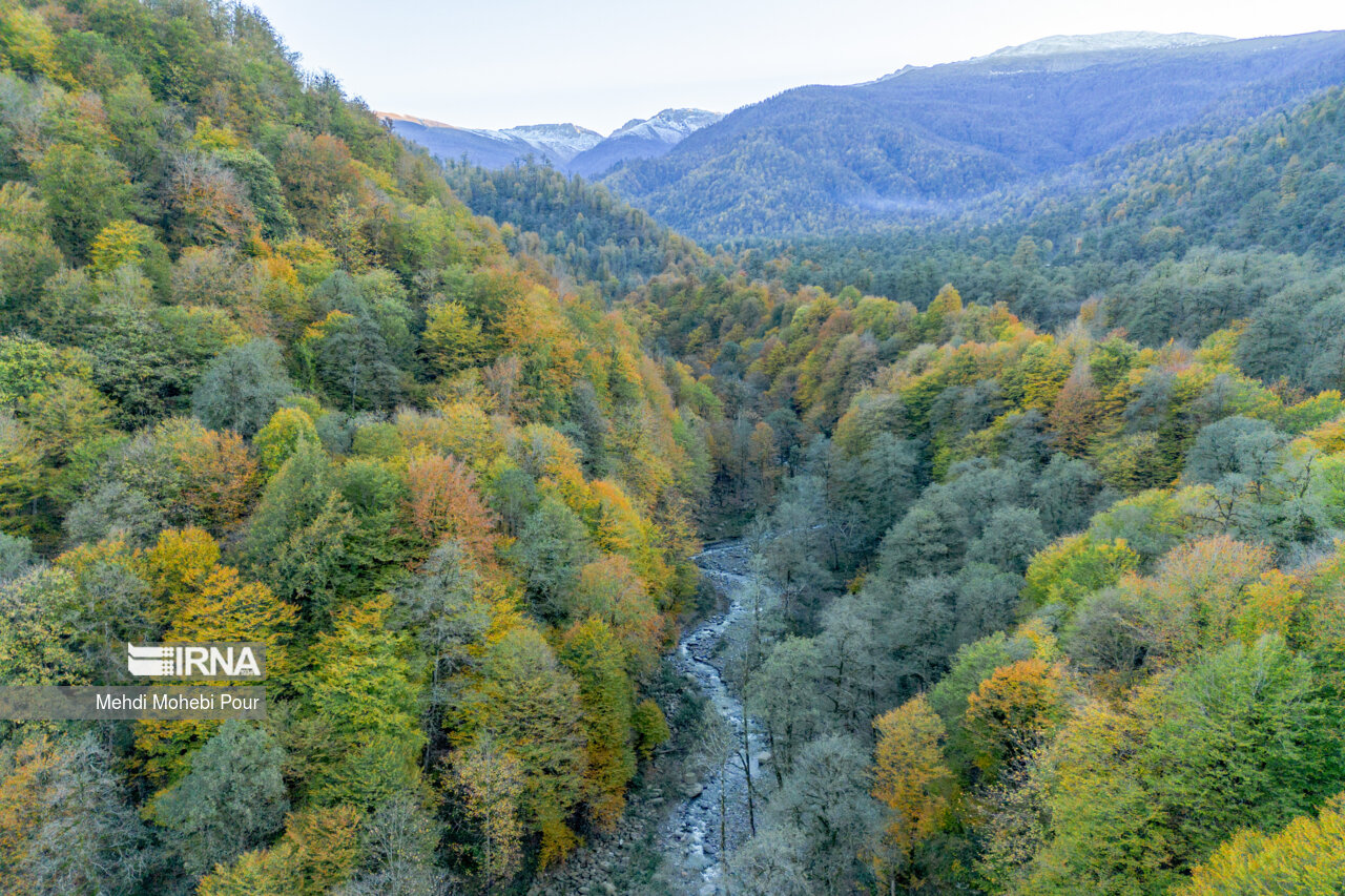 فصل هزار رنگ پاییز