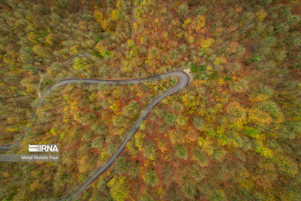 فصل هزار رنگ پاییز