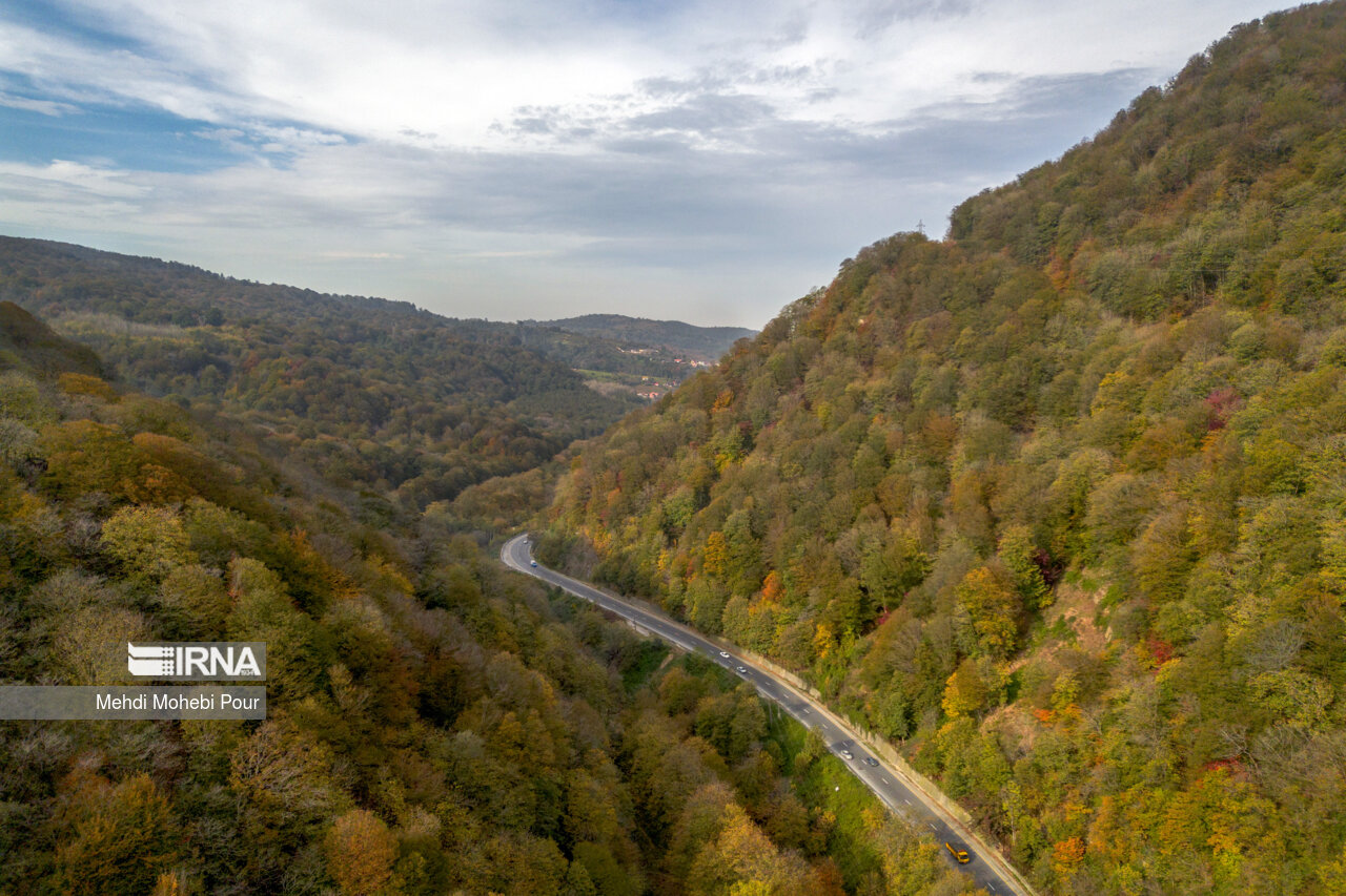 فصل هزار رنگ پاییز