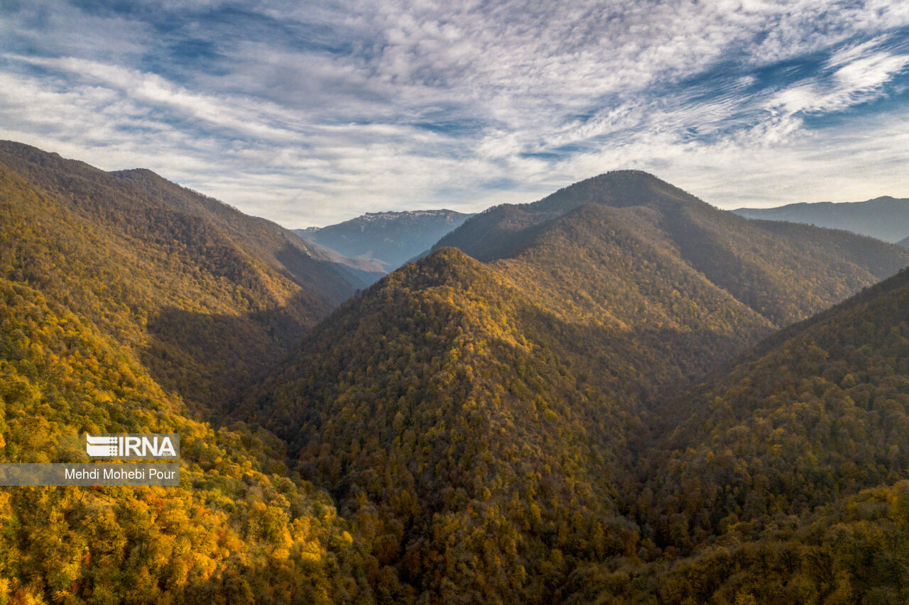 فصل هزار رنگ پاییز