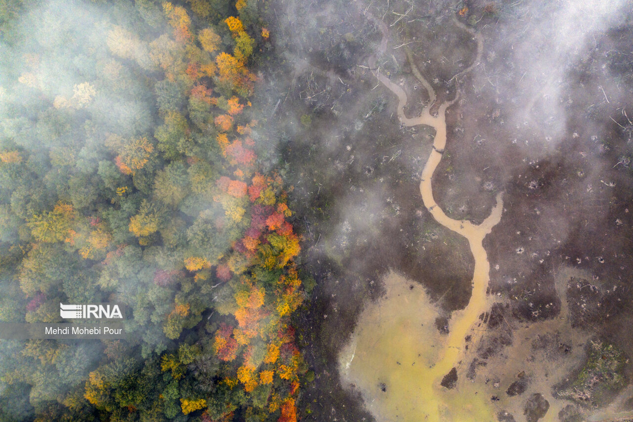 فصل هزار رنگ پاییز