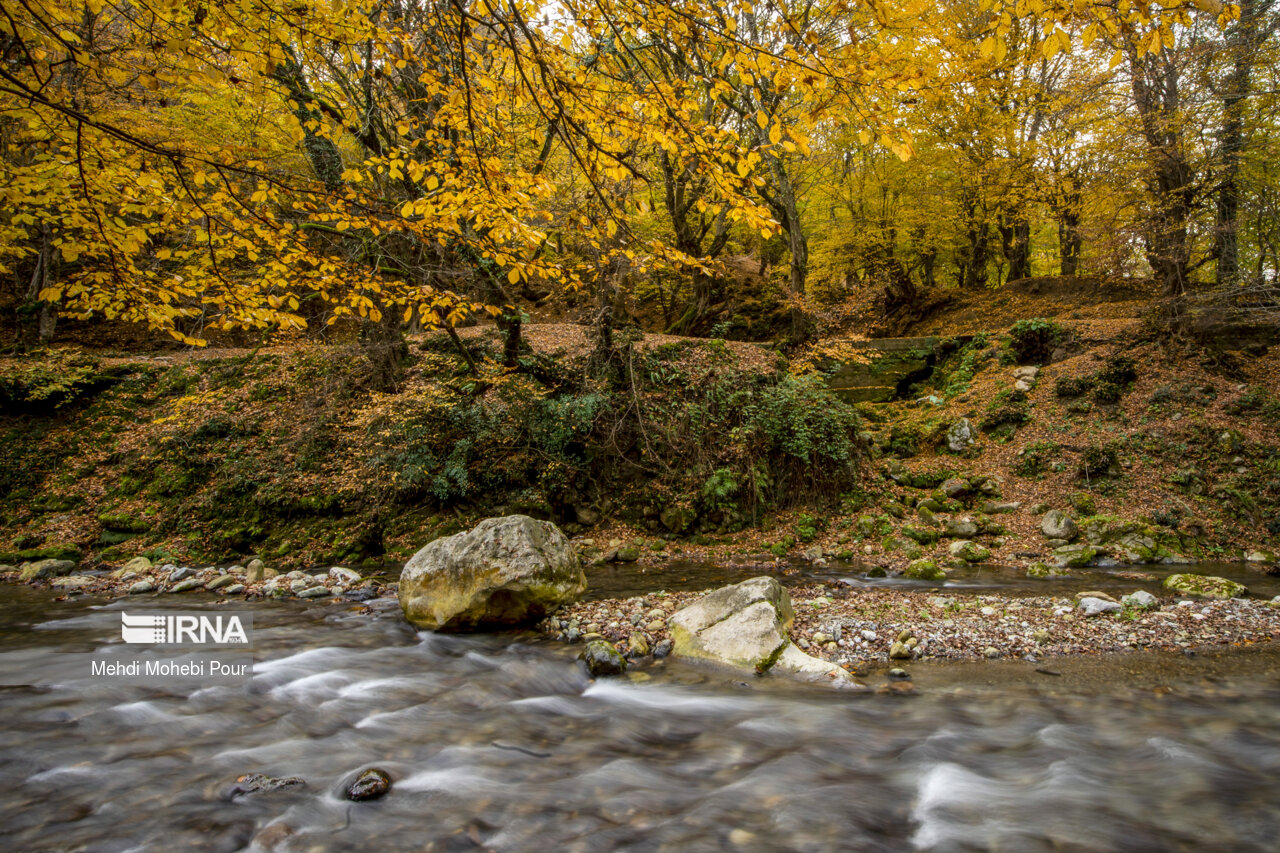 فصل هزار رنگ پاییز