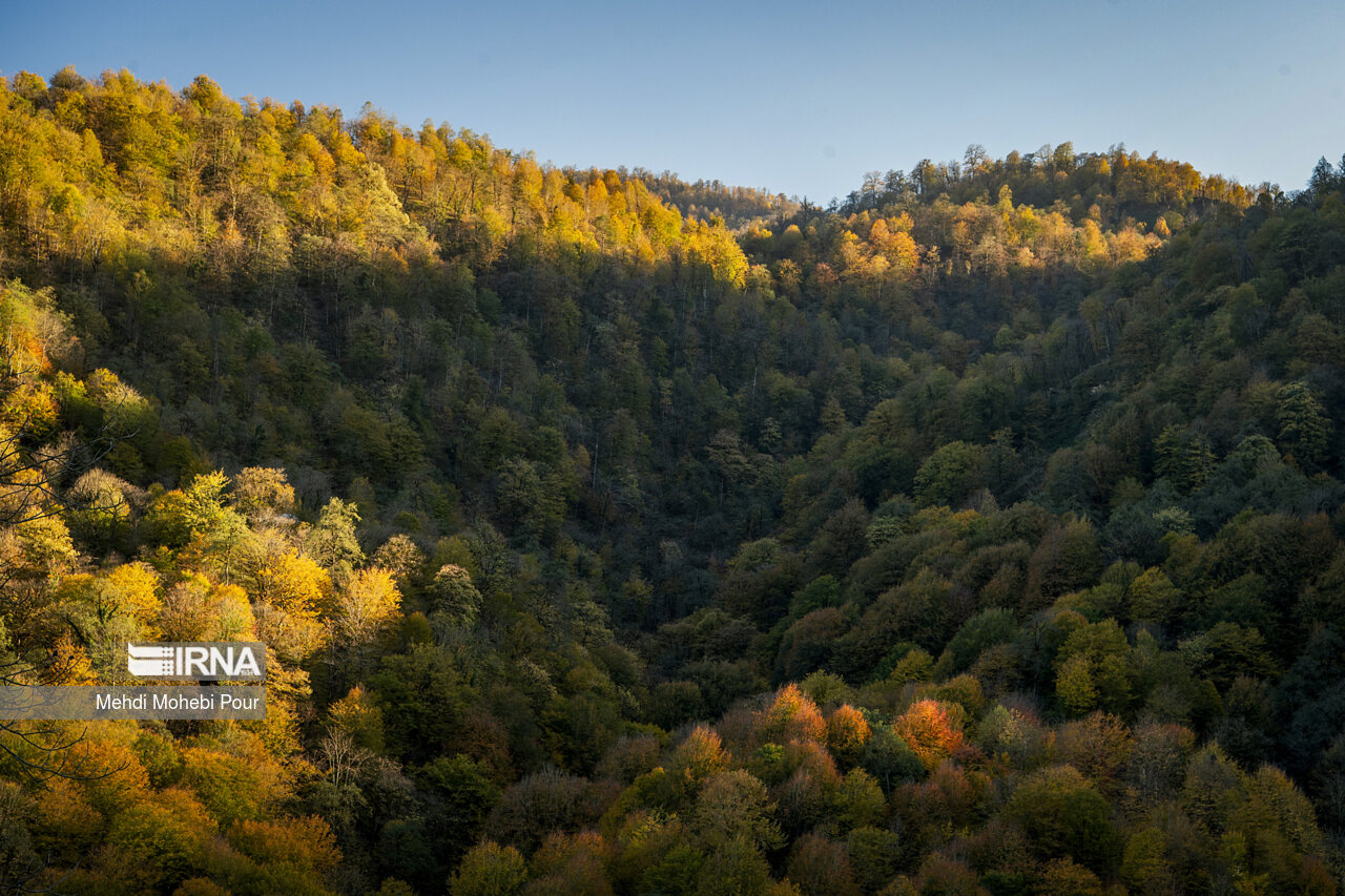 فصل هزار رنگ پاییز