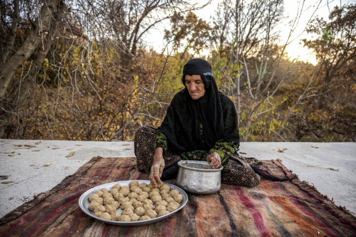 نانِ بلوط